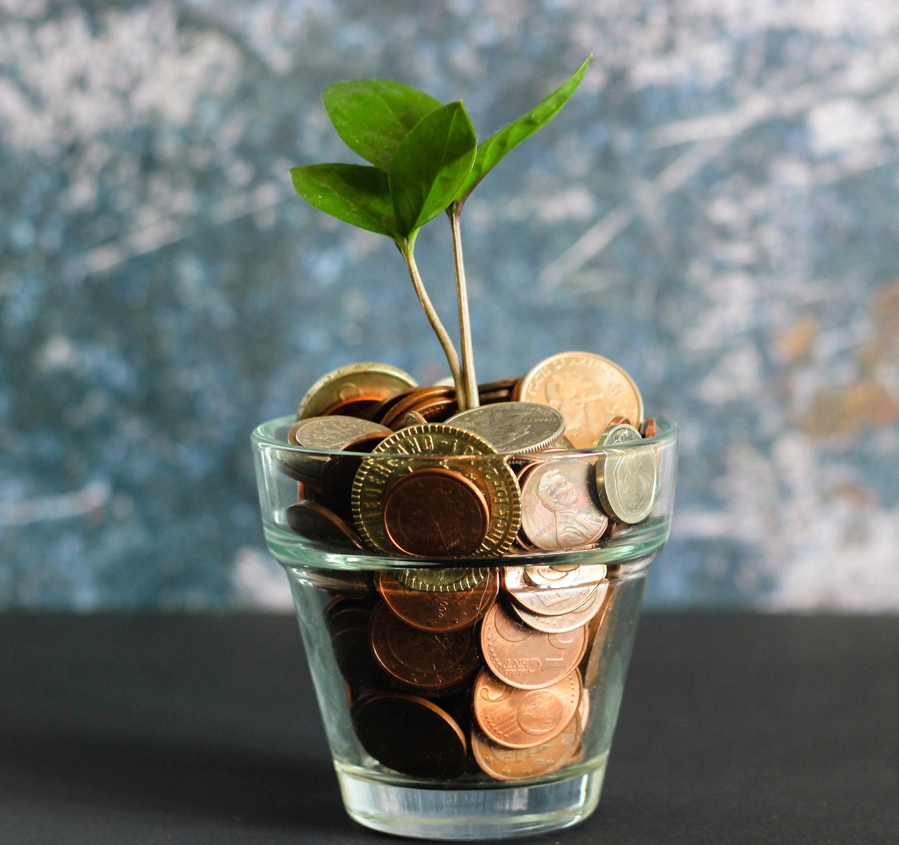 Zeleni poganjek raste iz kozarca polnega kovancev kar simbolizira rast in finančno varčevanje